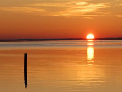 Thing To Do Island Rentals